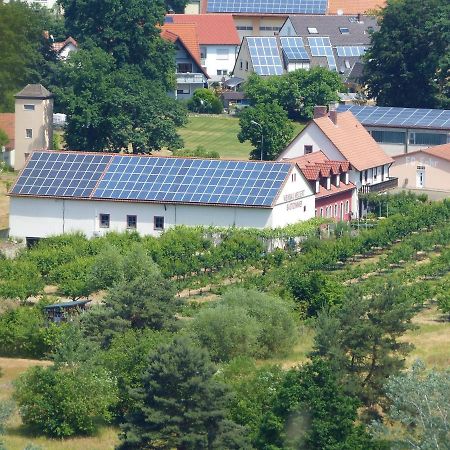 Weinbau & Pension - Familie Birgit Und Bernhard Meusert Volkach Exterior foto